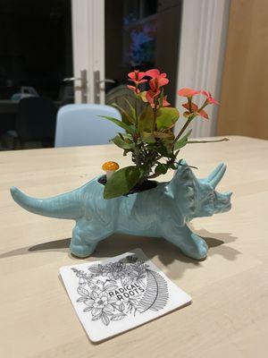 Adorable dinosaur planter from Radical Roots