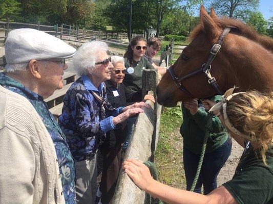 An outing to the local horse stables for our Residents delight and pleasure