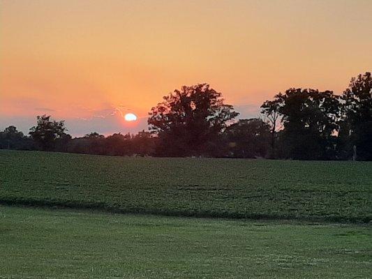 Indiana sunset