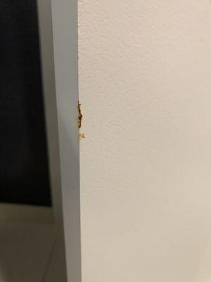 Poop on bathroom door. I saw this seated, on the toilet, and it's and hand level.