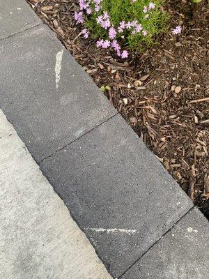 Wet cement got into this retaining wall and stained because they didn't clean up.