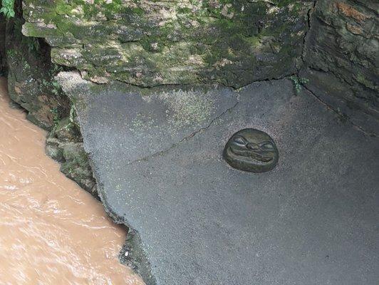 Try to spot this little guy along the Little Sugar Creek trail.