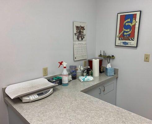 Patient room, cat theme