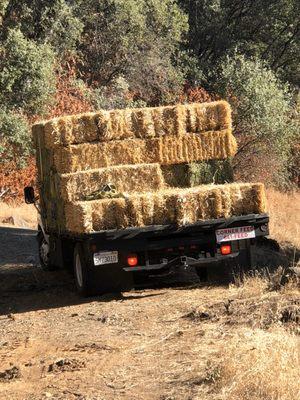 Getting 20 bales of straw delivered in Hawkins Valley.