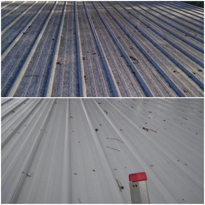 Metal Roof Cleaning using Softwashing method
863-307-2785
C&L Pressure Washing & Painting Services