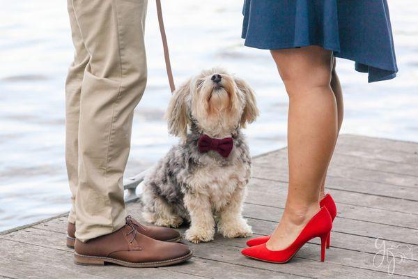 A bright engagement session with a little dog at Burke Lake in Virginia