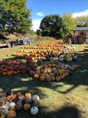 It's October! Time for pumpkins!