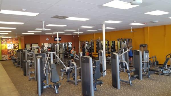 Life Fitness machines, Free weights, squat rack, cable machines, etc!