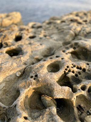 8/23 awesome sandstones ~25 feet above the waterline / steamer lane