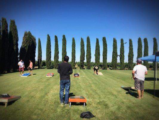 Fun at the Cornhole Tournament!