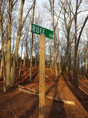 Fun doggie street signs