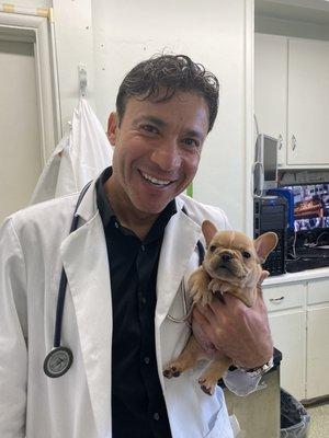 Dr. Alley with a French Bulldog pup making sure his health is in order. Thanks for all you do Doctor!