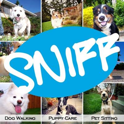 SNIFF Seattle Dog Walkers