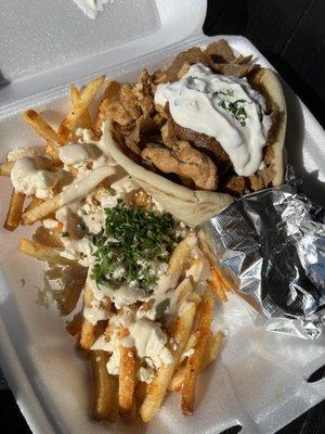 Signature Gyro with Greek Fries