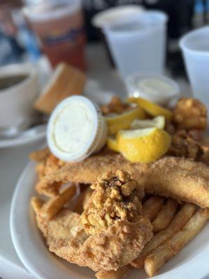 Seafood combo with fried gator shrimp and fish