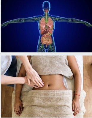 Manual Lymphatic Drainage, Lymphatic System