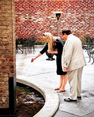 Feeding the Koi with John, the owner