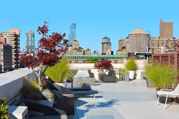 Spectacular Rooftop Deck View