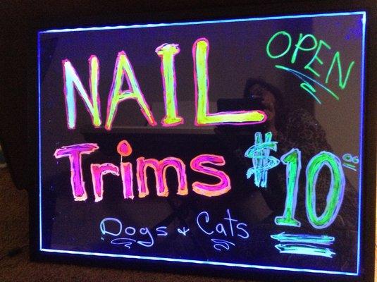 While we are at your house get your other dogs and cats nails done too.