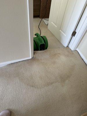 Toilet valve leaked to bedroom carpet 2x3.5'