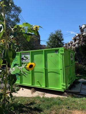 Clean, green dumpster rental