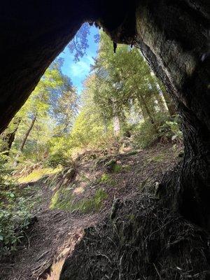 Alfred Loeb State Park - from inside a beauty