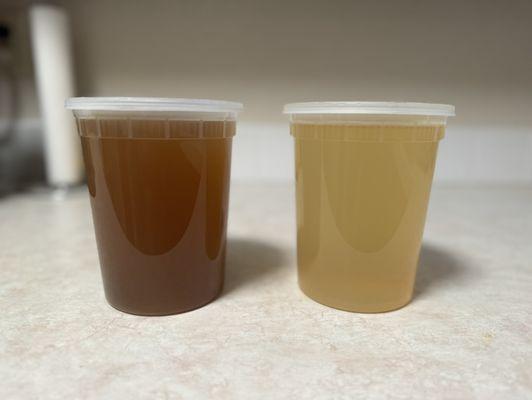 Pho broth (Left) and Veggie broth (Right)