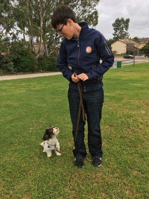 Jupiter practicing sit at the park.