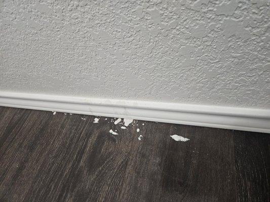 Paint drips and runs on hardwood floors and trim