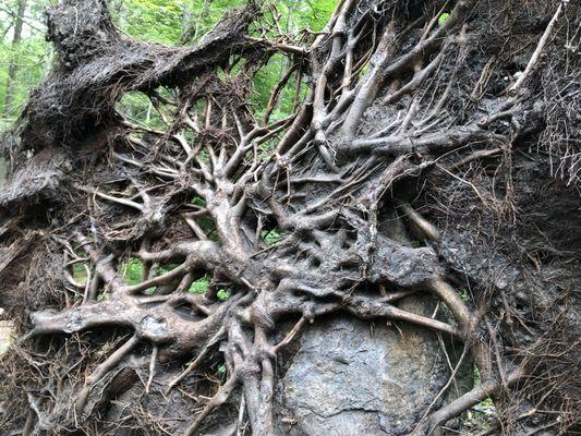 Purgatory Chasm State Reservation