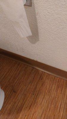 Feces on wall by toilet near floor