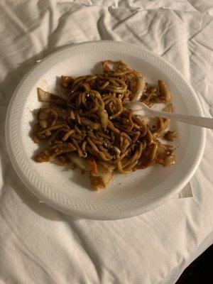 Pathetic photo #2: house special lo mein eaten on  a styrofoam plate on my hotel bed.