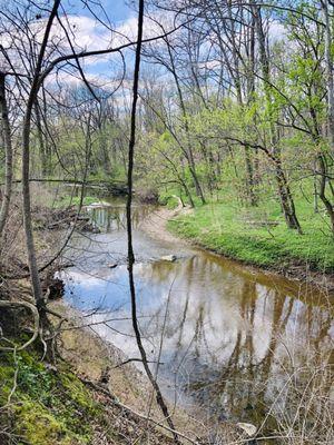 Crooked Creek, which you can find if you hike in Juan Solomon Park