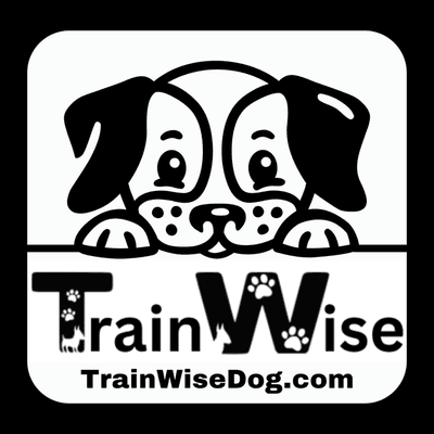 Train Wise