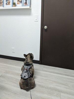 In a patient room - waiting for his vet friends to come back