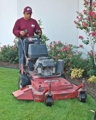 Lawn mowing & fertilization