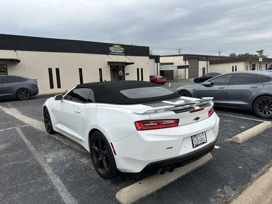 Tinted windows on SS Camaro