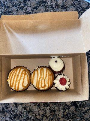 Salted Caramel Vanilla Cupcake, Red Velvet and Raspberry chocolate Minis