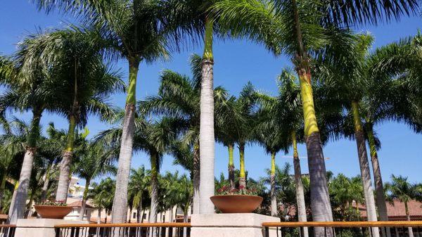 Merrick Park