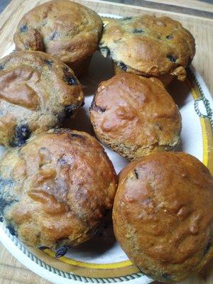 Blueberry muffins