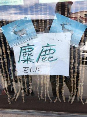 First time I've seen elk at Chinese