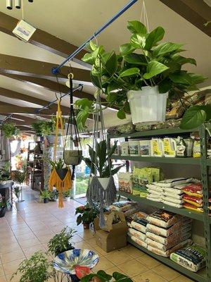 Hanging baskets