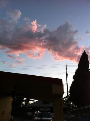 Evening on the patio