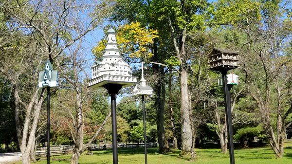 Cute Bird Houses