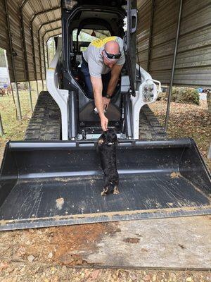 The owner petting the tiniest dog that has no fear of the big machine! Job of removing debris and regrading land for a house build.