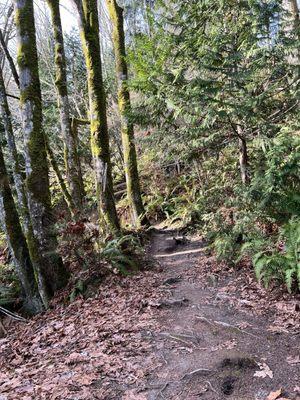 Manchester State Park trail