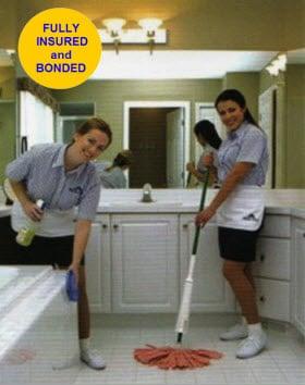 Home/Office Cleaning Services