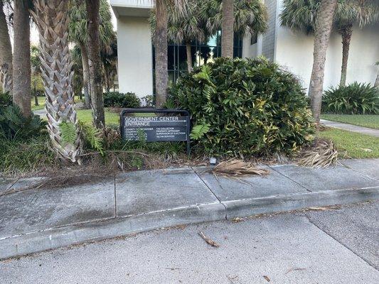 Dead branches and moldy sidewalks.