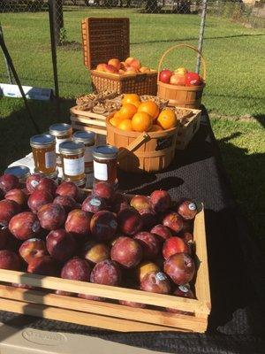 Farmers Market on Saturday's