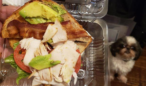 Turkey bacon guacamole sandwich. Guacamole, I can see!   My pup says, smells good too!